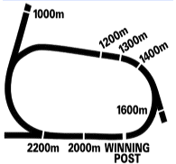 Belmont Park Racecourse